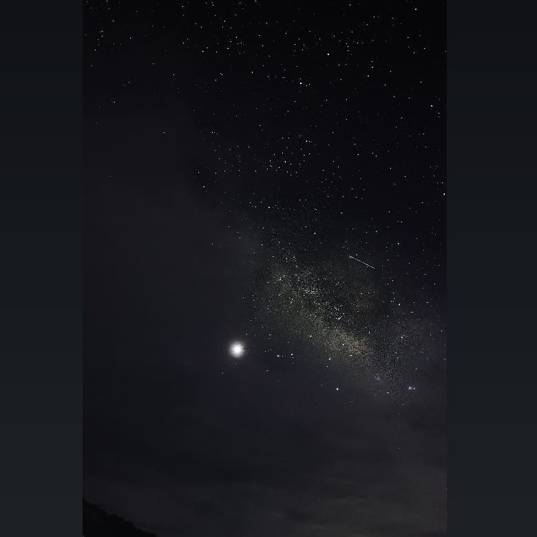 •