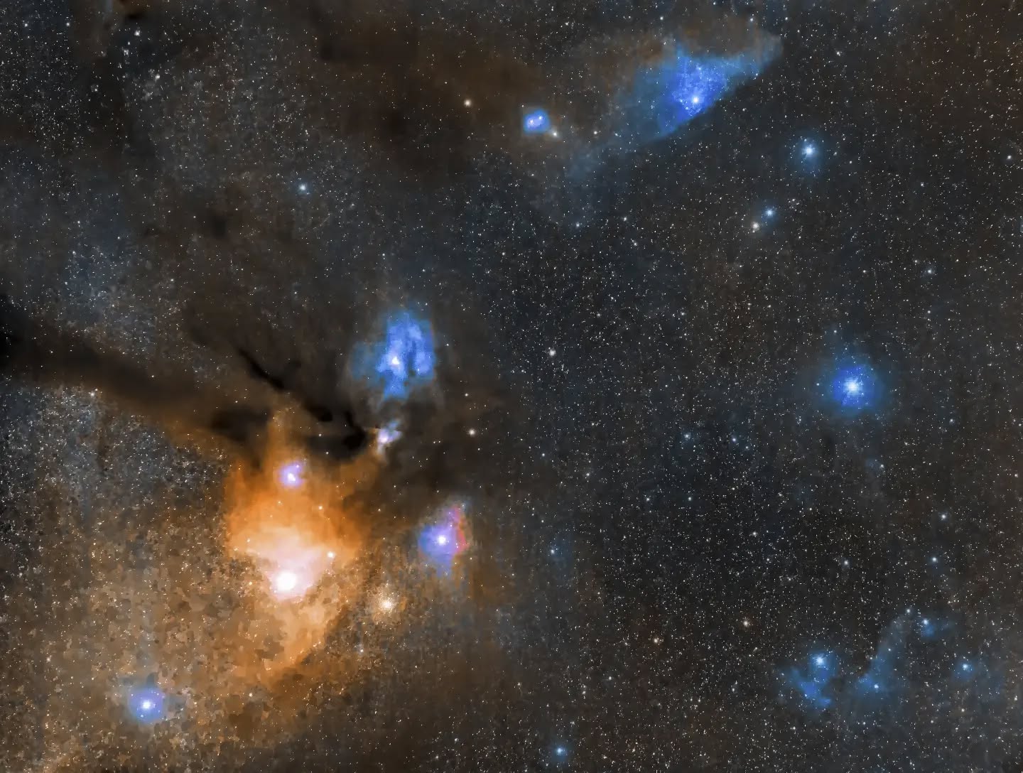 *The Rho-Ophiuchi cloud complex and the blue horse-head.*
