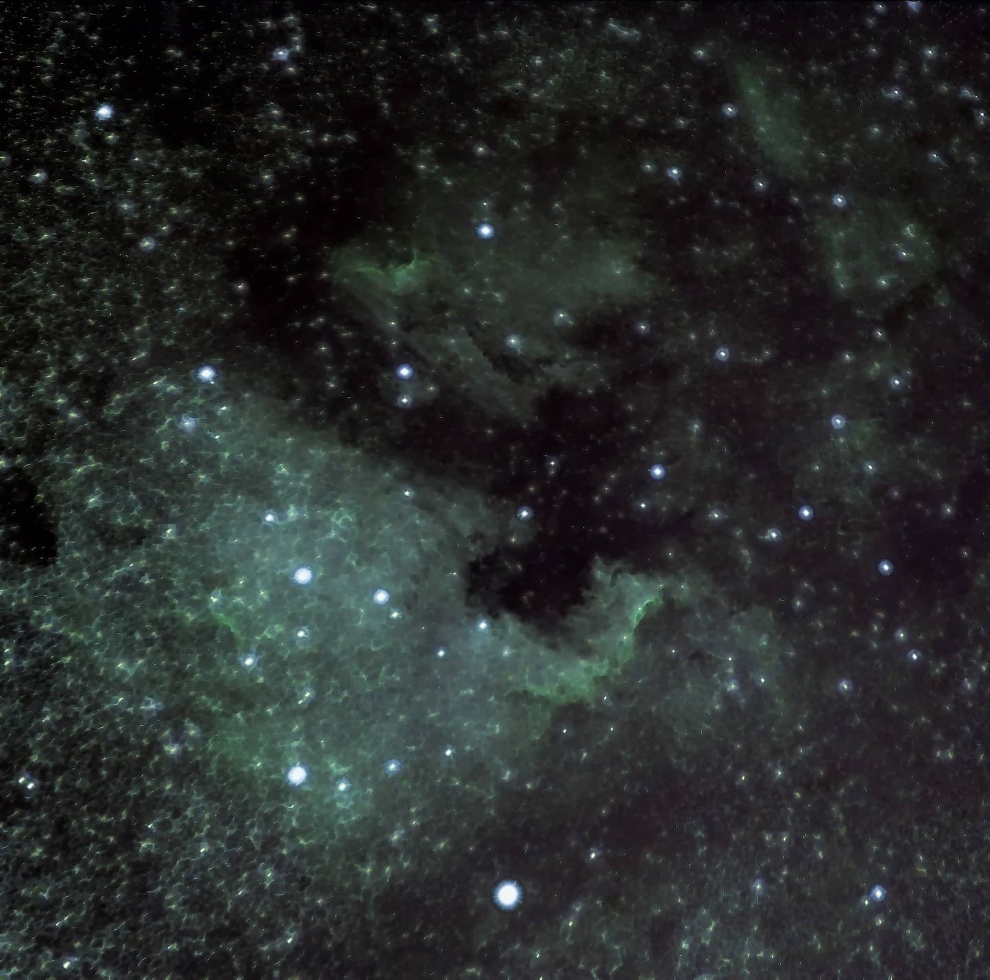 The North America and Pelican Nebulae