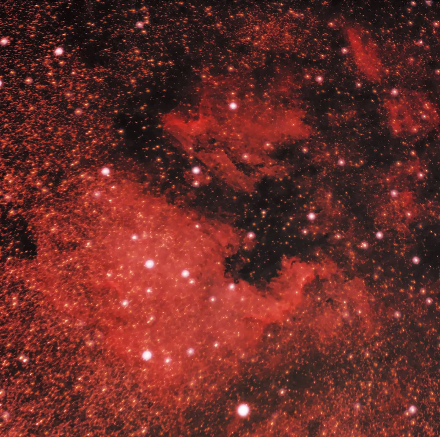 The North America and Pelican Nebulae