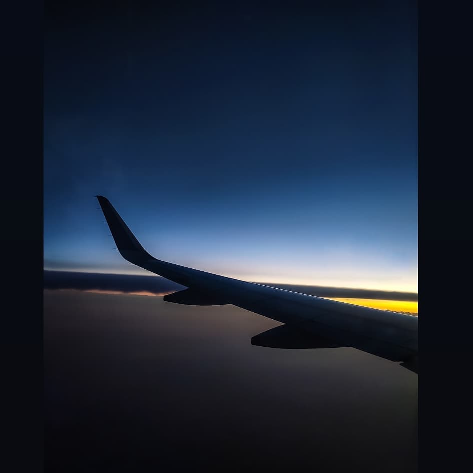 *Reach for the sky....* •