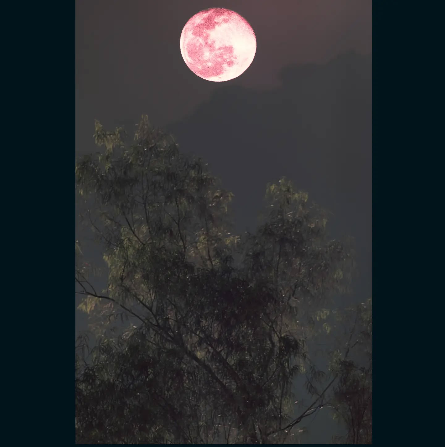 *Moonrise*